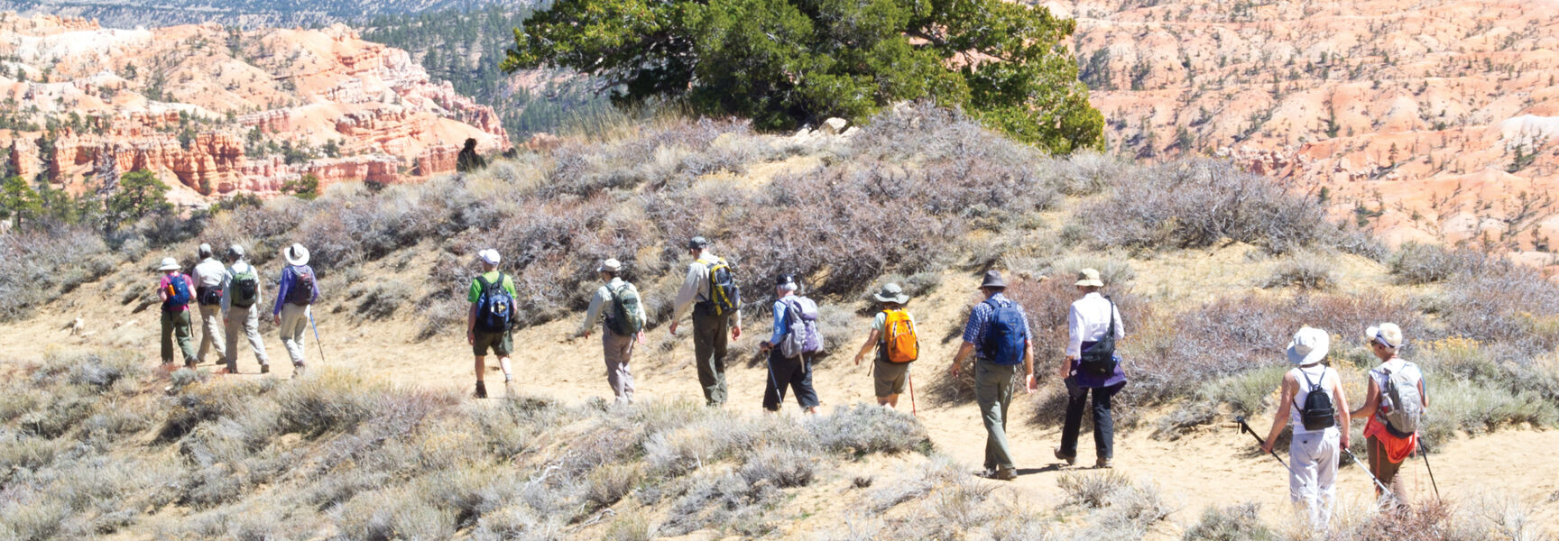 A group of hikers follows a trail overlooking the iconic red rock spires and hoodoos of Bryce National Park in Utah.