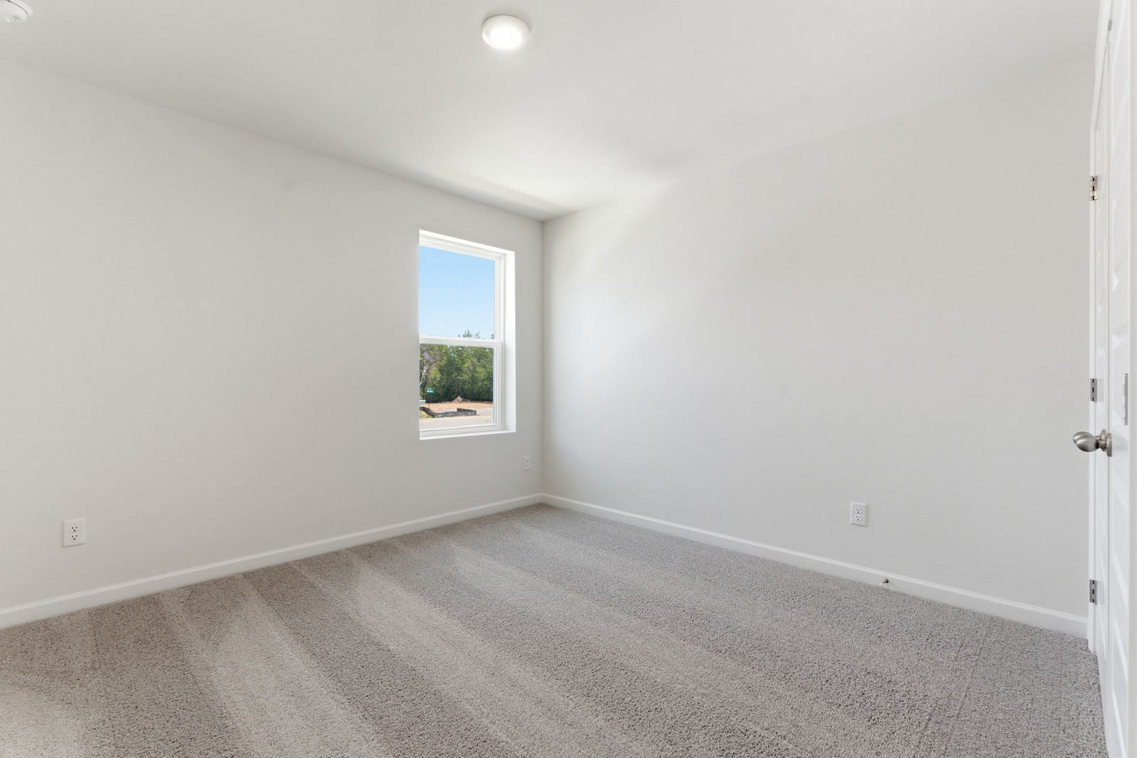 secondary bedroom with large windows, walk in closet, and carpet