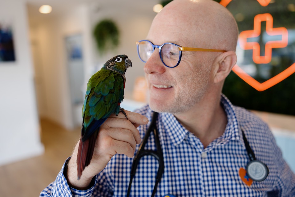 BOQ Specialists, Advertorial April 2025