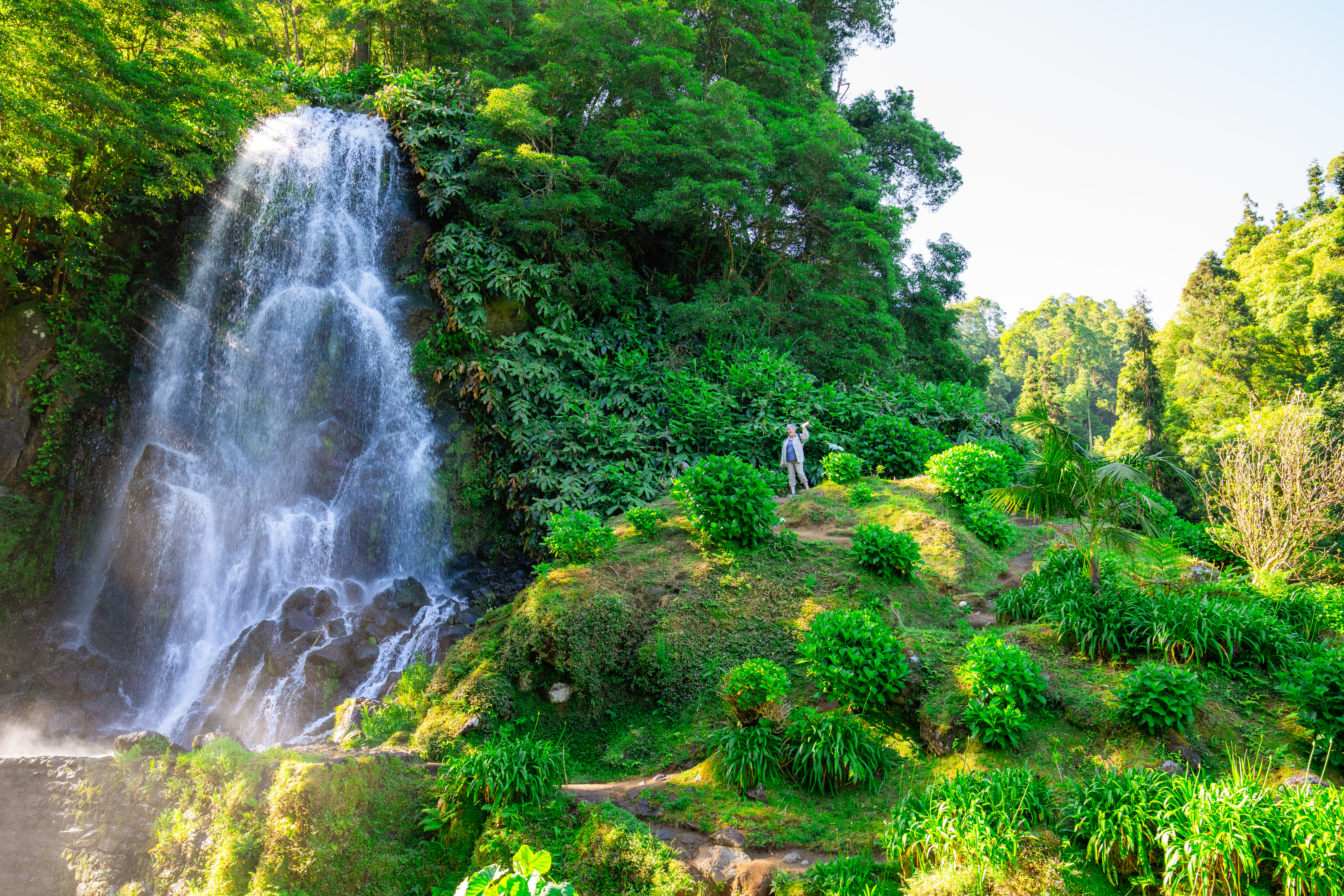 Waterfall cascades in lush green forest
