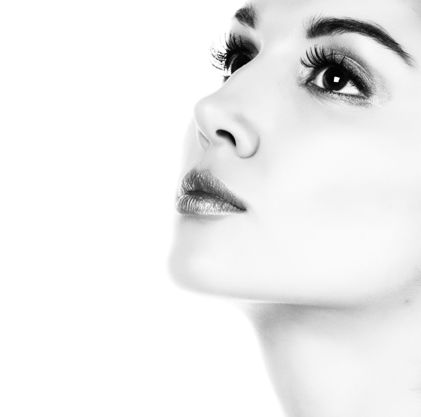 Brows Epping