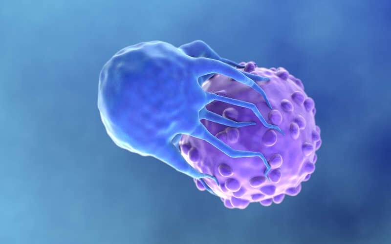 graphic of a cancer cell with a CAR T cell attached