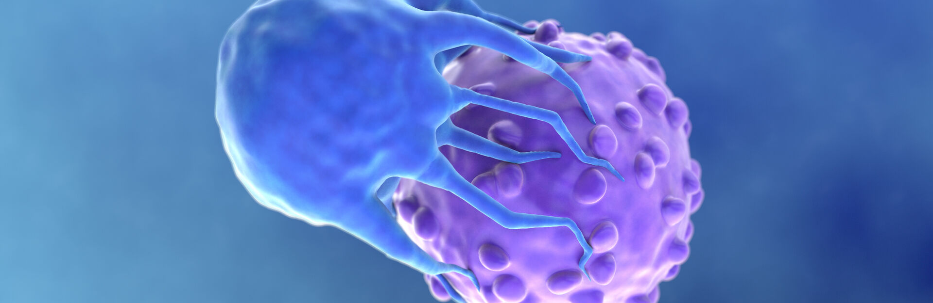 graphic of a cancer cell with a CAR T cell attached