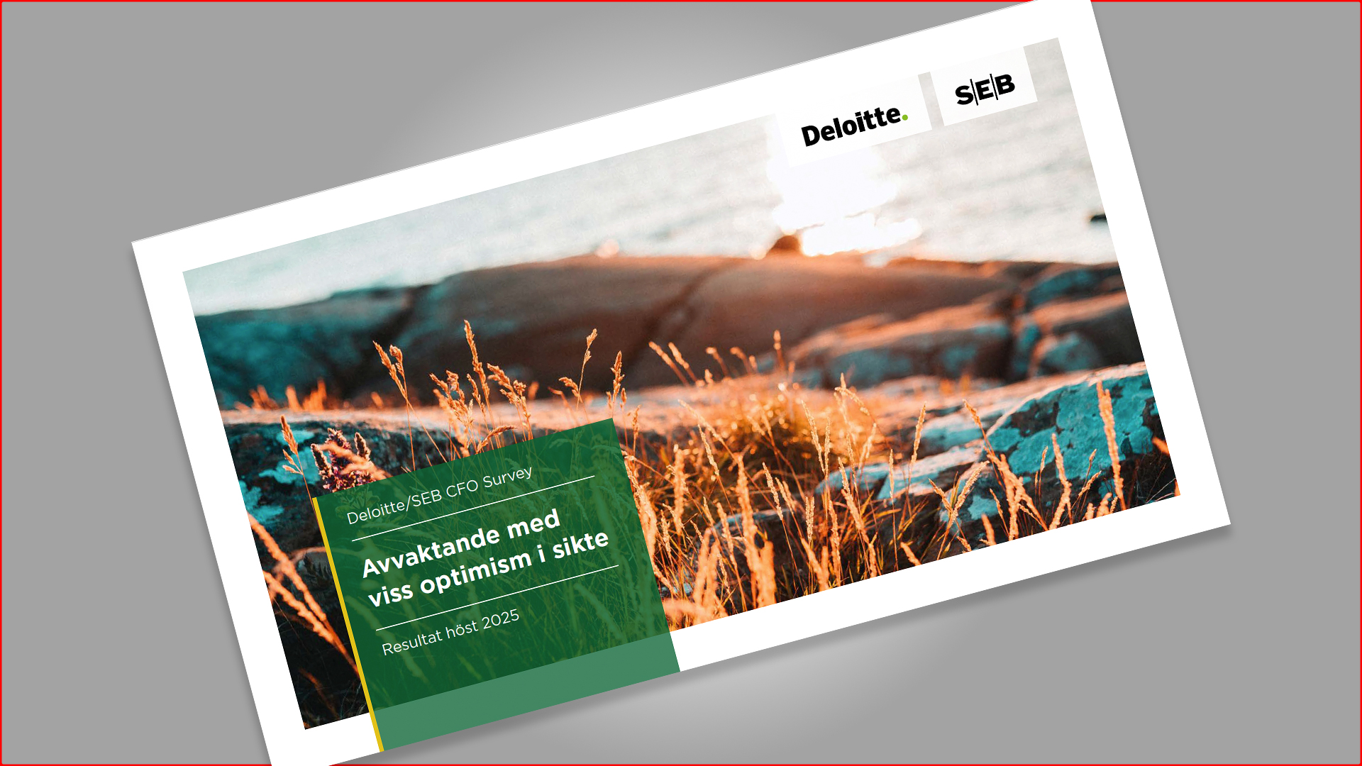 Försättsbladet på rapporten.