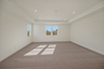 bonus room with carpet, large windows and tray ceiling