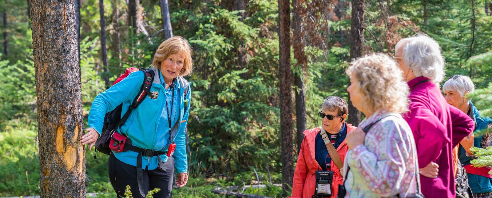 A guide in a blue jacket points to a tree trunk while leading a group of hikers in the Canadian Rockies of Jasper and Banff.