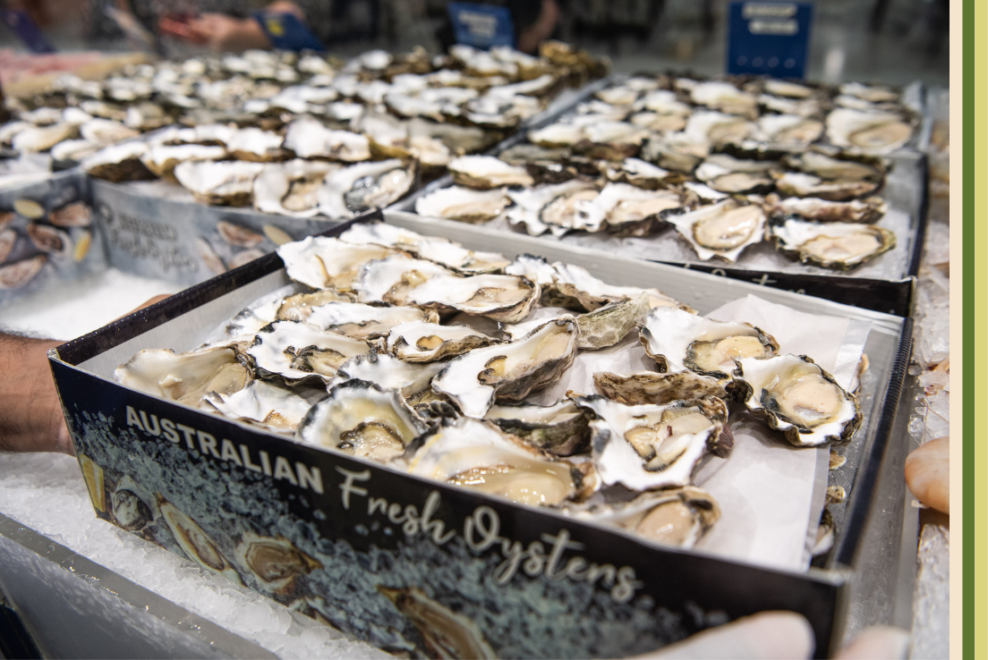 Fresh oysters sitting within a box of crushed iced
