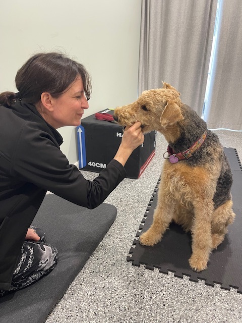 Dr Carolin Kinghorn, Acupuncture SIG