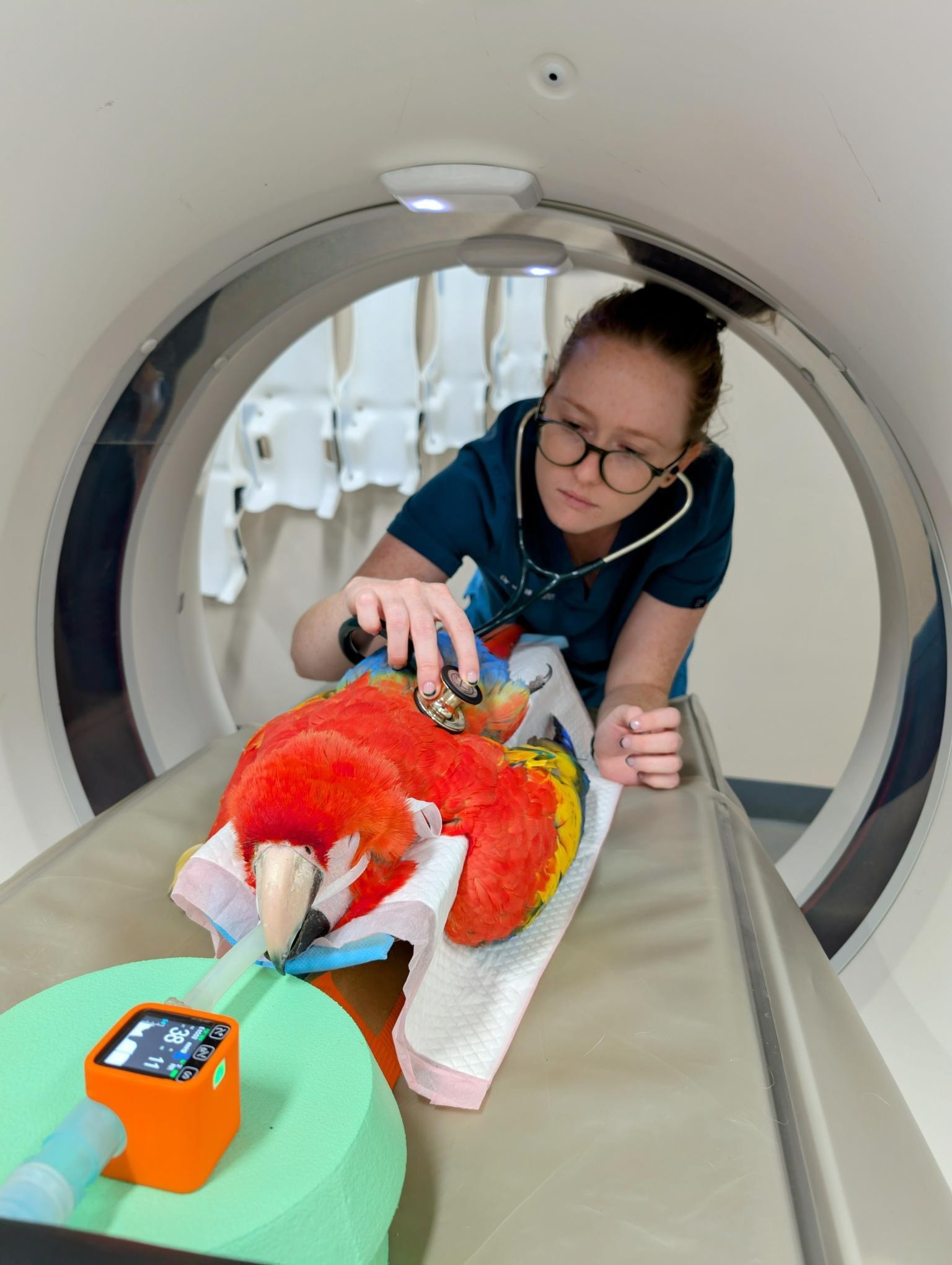 Photo of Dr Jessica Anderson.