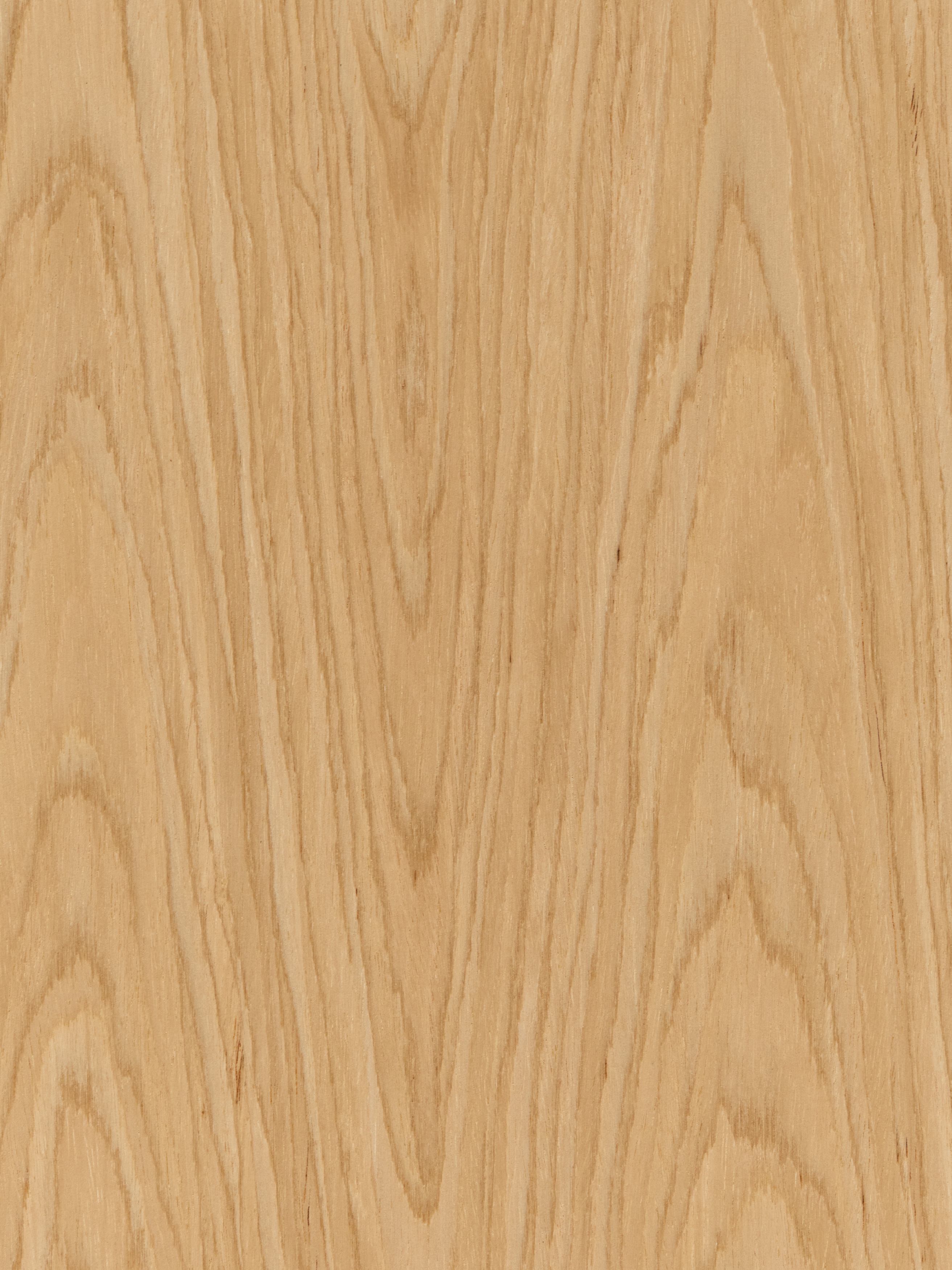 EW_Oak_9832C_Balkan_White_Oak_PS_Finished_Closeup