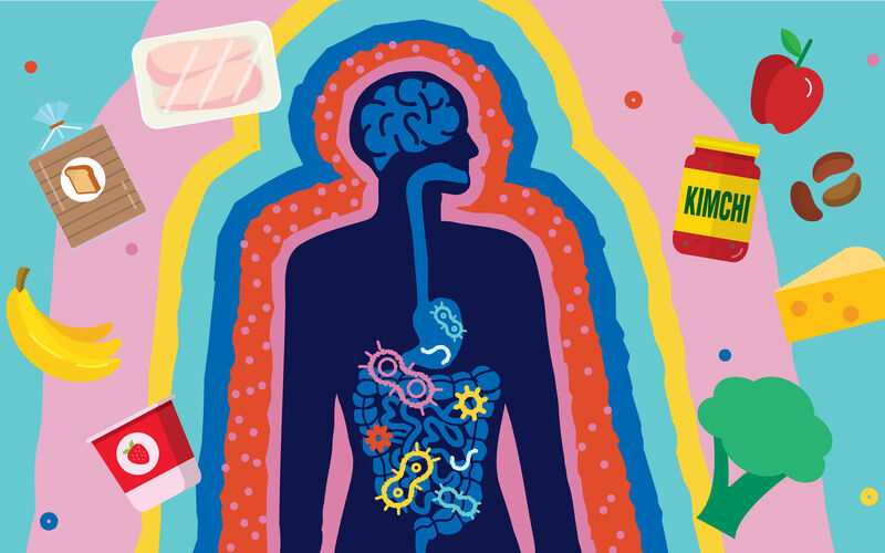 Graphic showing outline of a person body, inside the body is a depiction of the digestion system. Outside of the body outline are different types of foods good for gut health, like kimchi and yogurt.