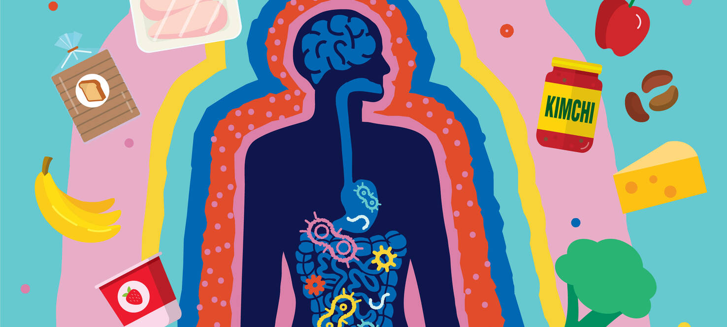 Graphic showing outline of a person body, inside the body is a depiction of the digestion system. Outside of the body outline are different types of foods good for gut health, like kimchi and yogurt.