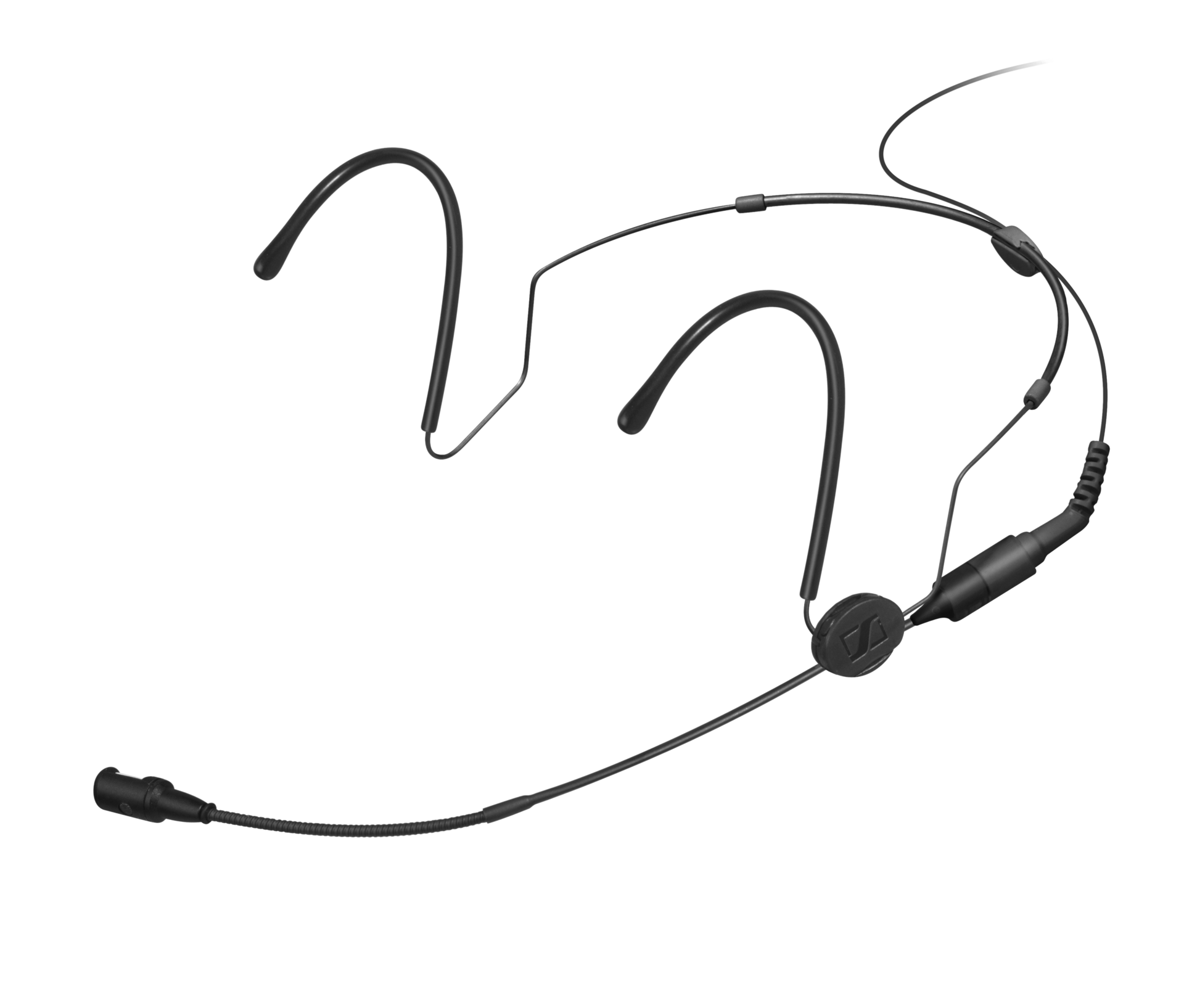 Heads and ears - all set