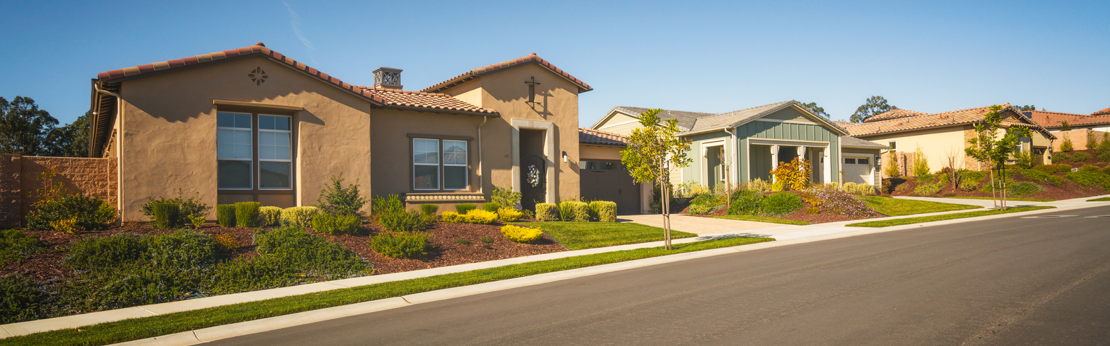 Homes in a neighborhood