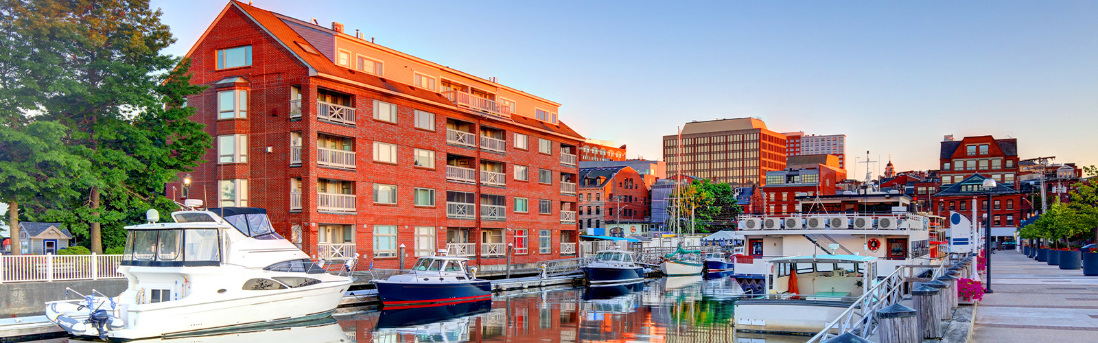A view of a Maine skyline