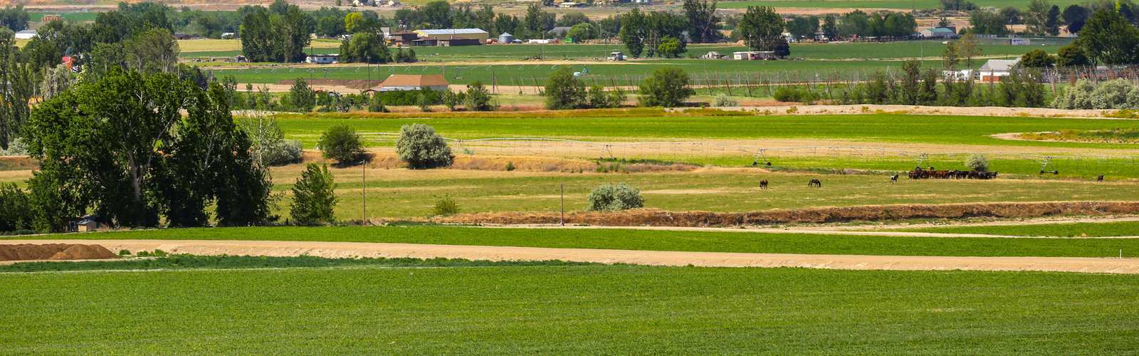 Idaho