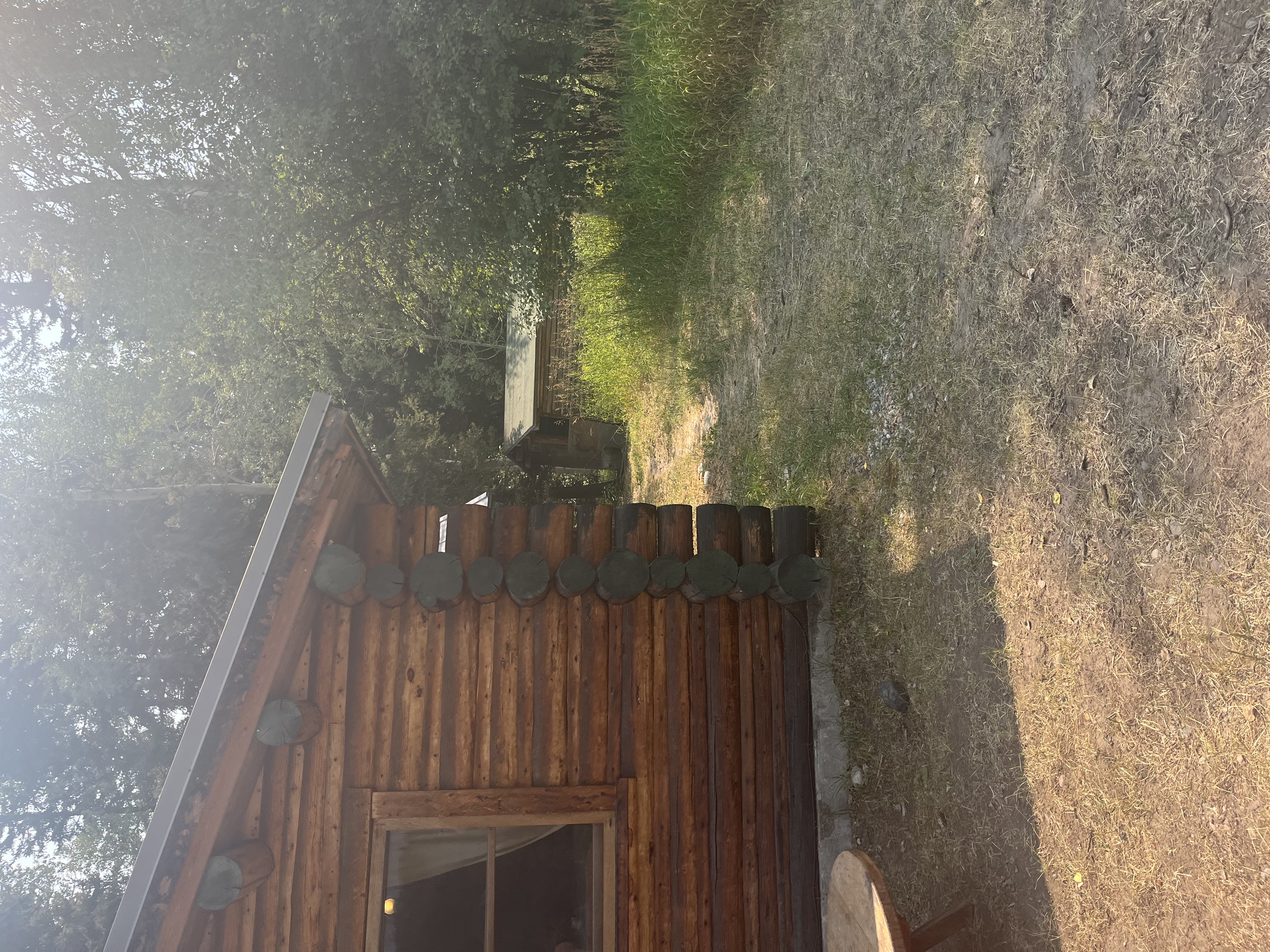 A log cabin stands next to a dirt path in the woods lined with grass
