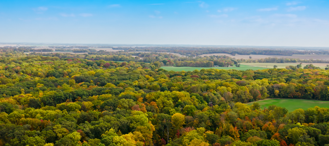 An image of the terrain in Indiana