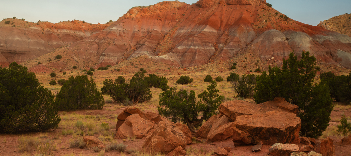 An image of the terrain in New Mexico