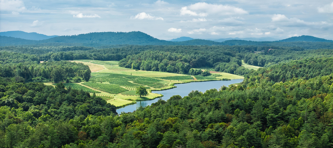 An image of the terrain in North Carolina