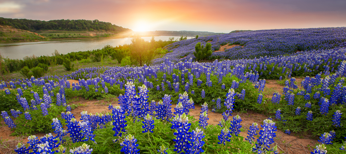 An image of the terrain in Texas