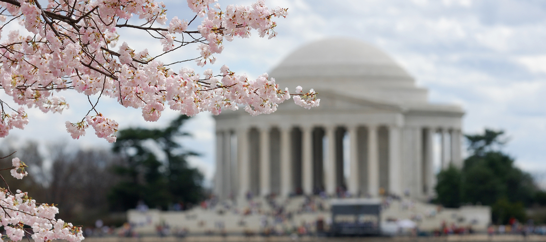 An image of a landmark in Washington D.C.