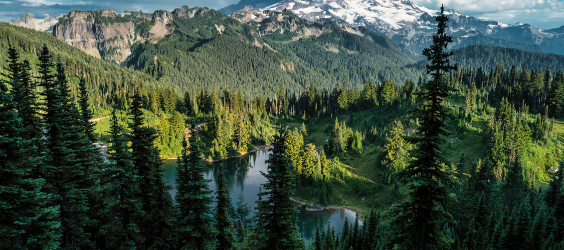 Scenery in Washington