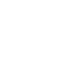 White government building icon