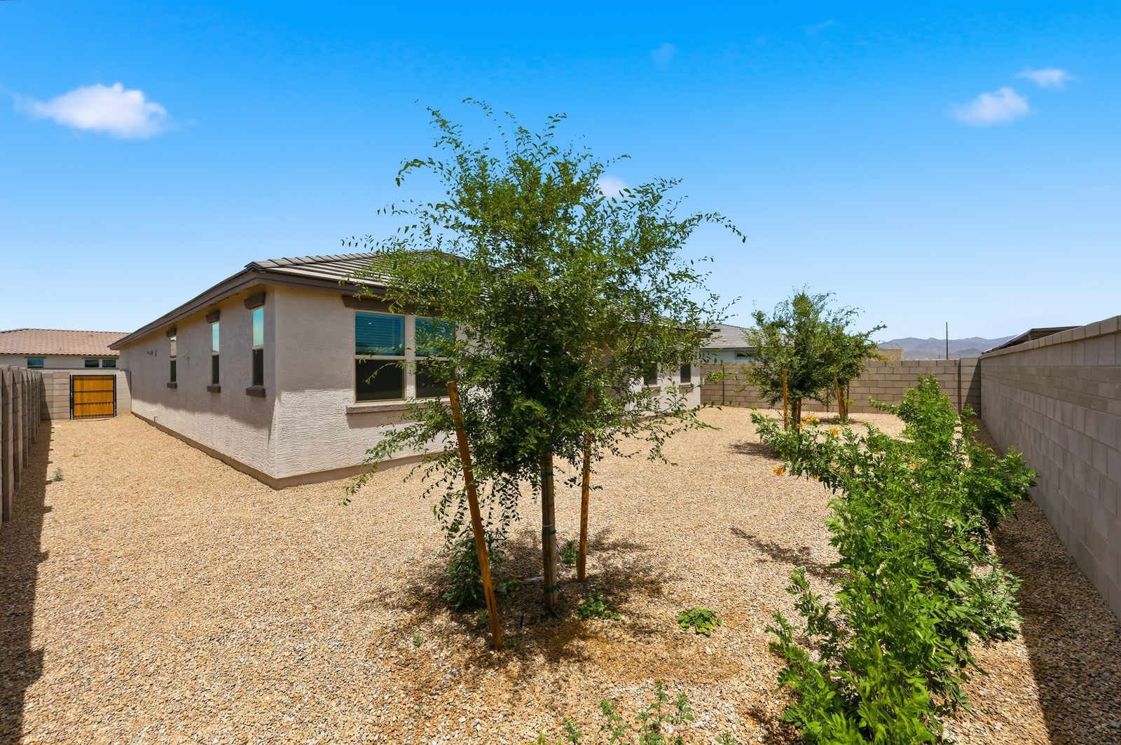spacious landscaped backyard with trees, rocks, and bushes