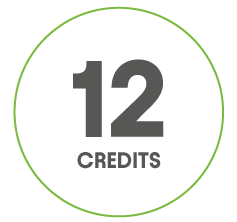Icon showing the number 12 and the word CREDITS inside a light green-bordered circle.