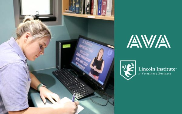 Lincoln x AVA: Website Home Page Banner - 600x377 (9).png