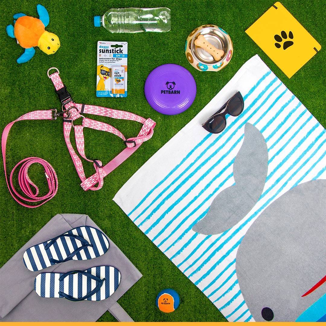 pet accessories