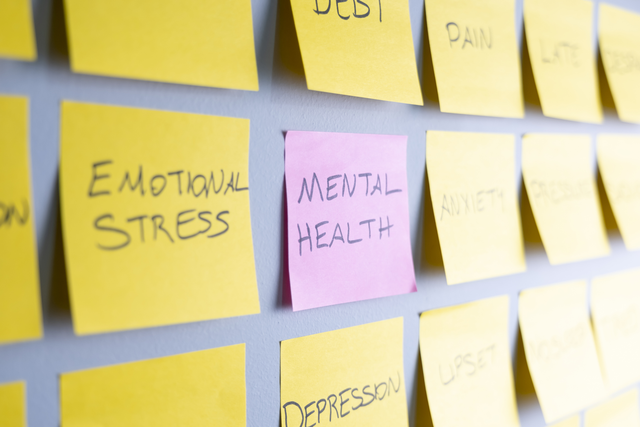 There are several mental health resources available for Moffitt patients in need. 