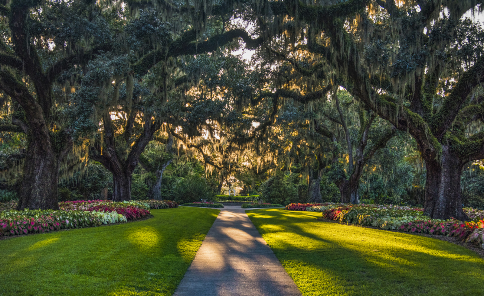 walkway lined with oak trees in Murrells Inlet, SC