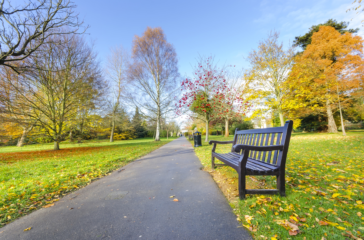 outdoor park with sidewalk and bench