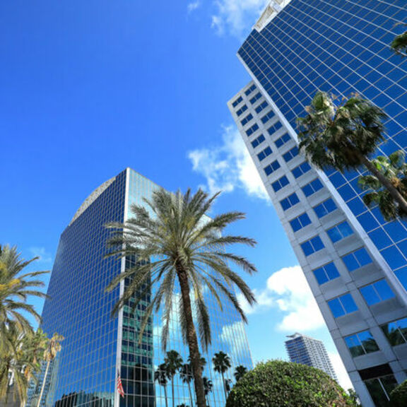 Cherry Bekaert Orlando Location