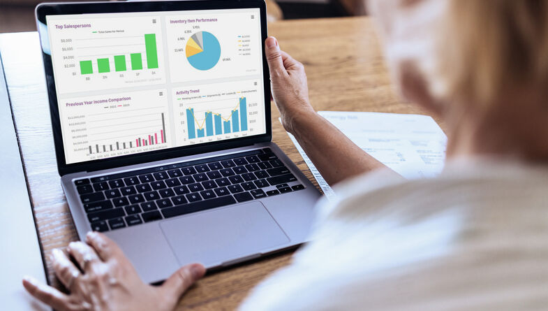 Person analyzing data reports on a laptop screen