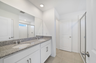 dual sink vanity with mirror and shower
