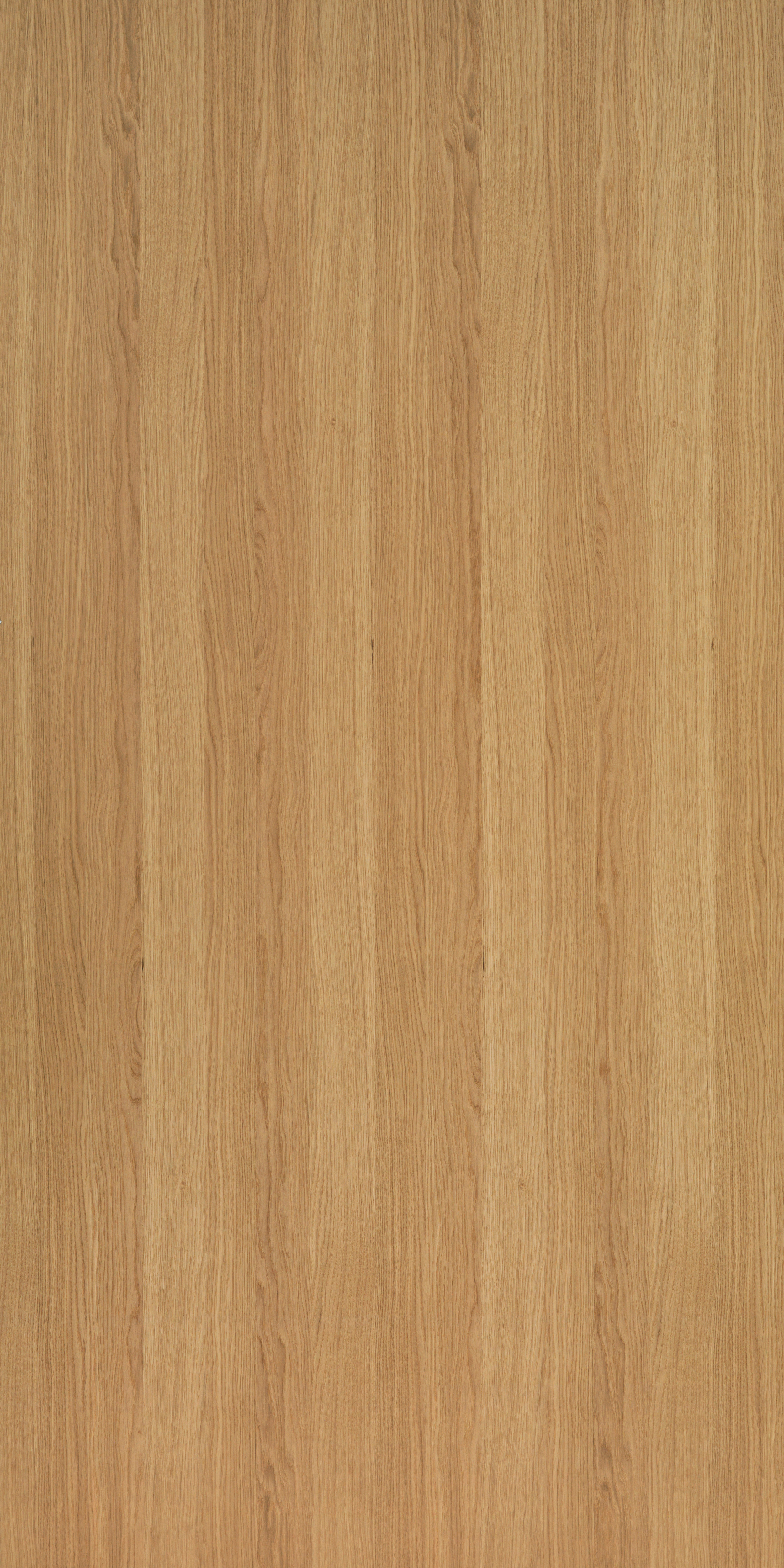 Querkus_Oak_Natural_Allegro_Panel