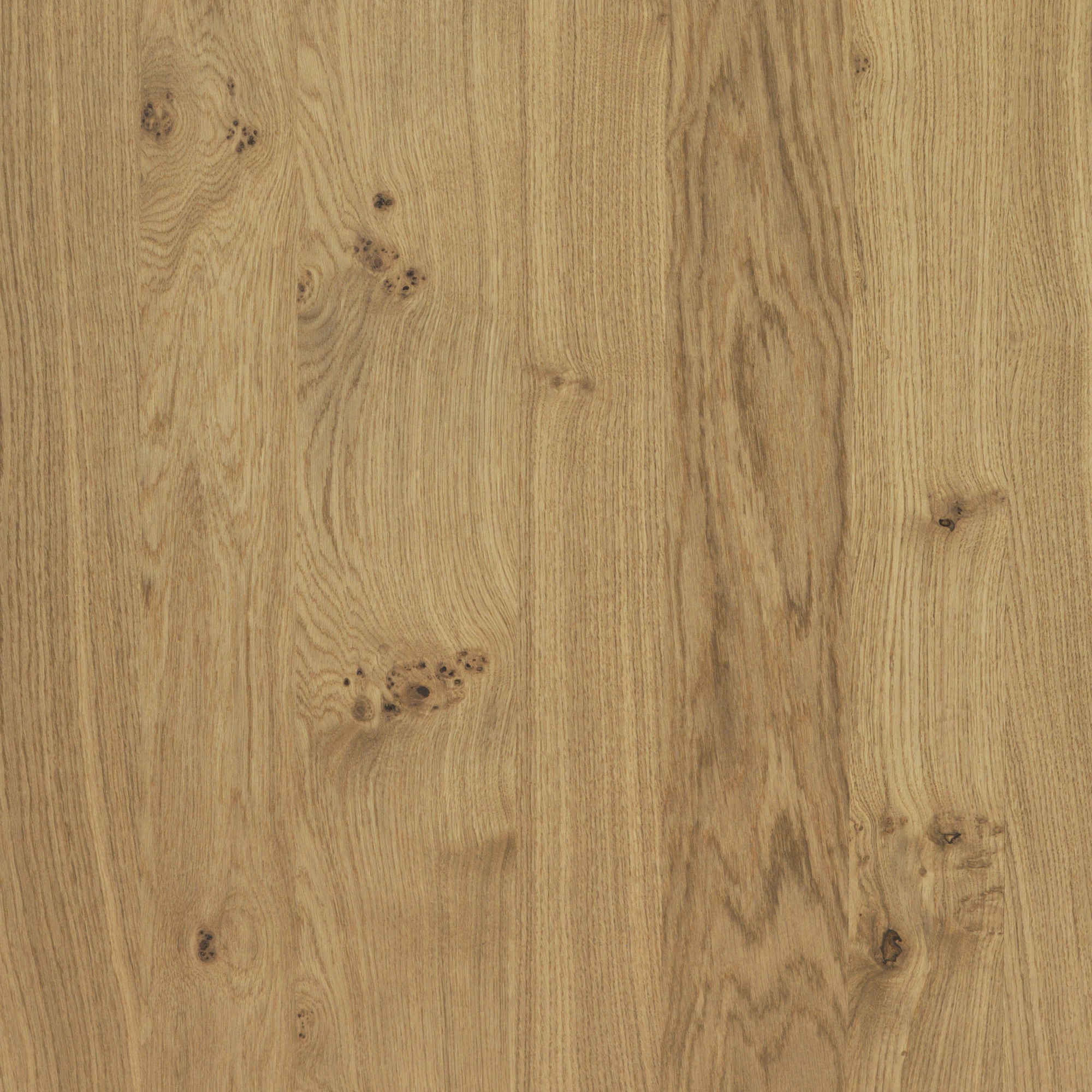 Querkus_Oak_Natural_Vivace_Closeup