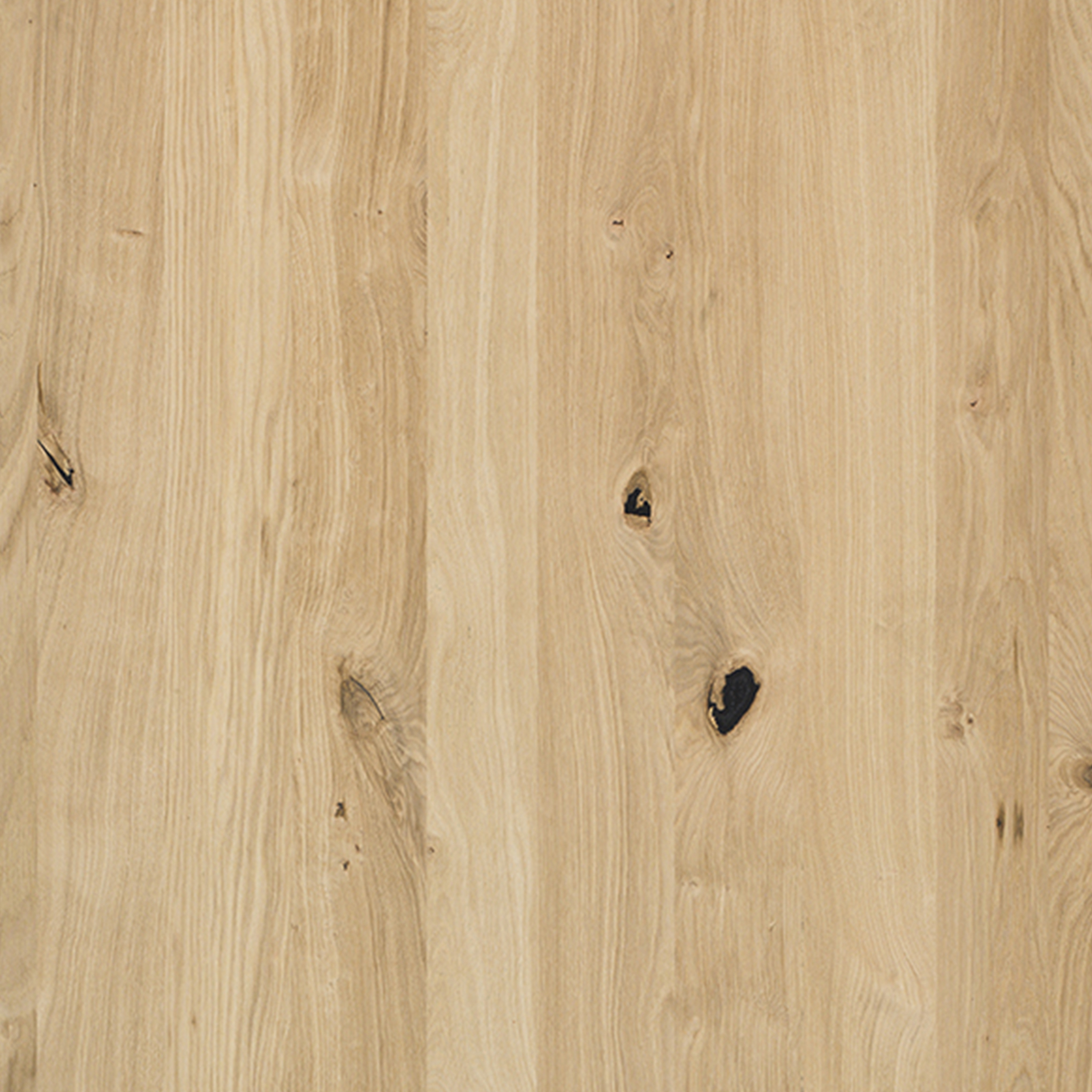 Querkus_Oak_Retro_Harlem_Closeupÿ_Natura_Allegro_Infinite_Panel_3DÿQuerkus_Oak_Retro_Harlem_Panel