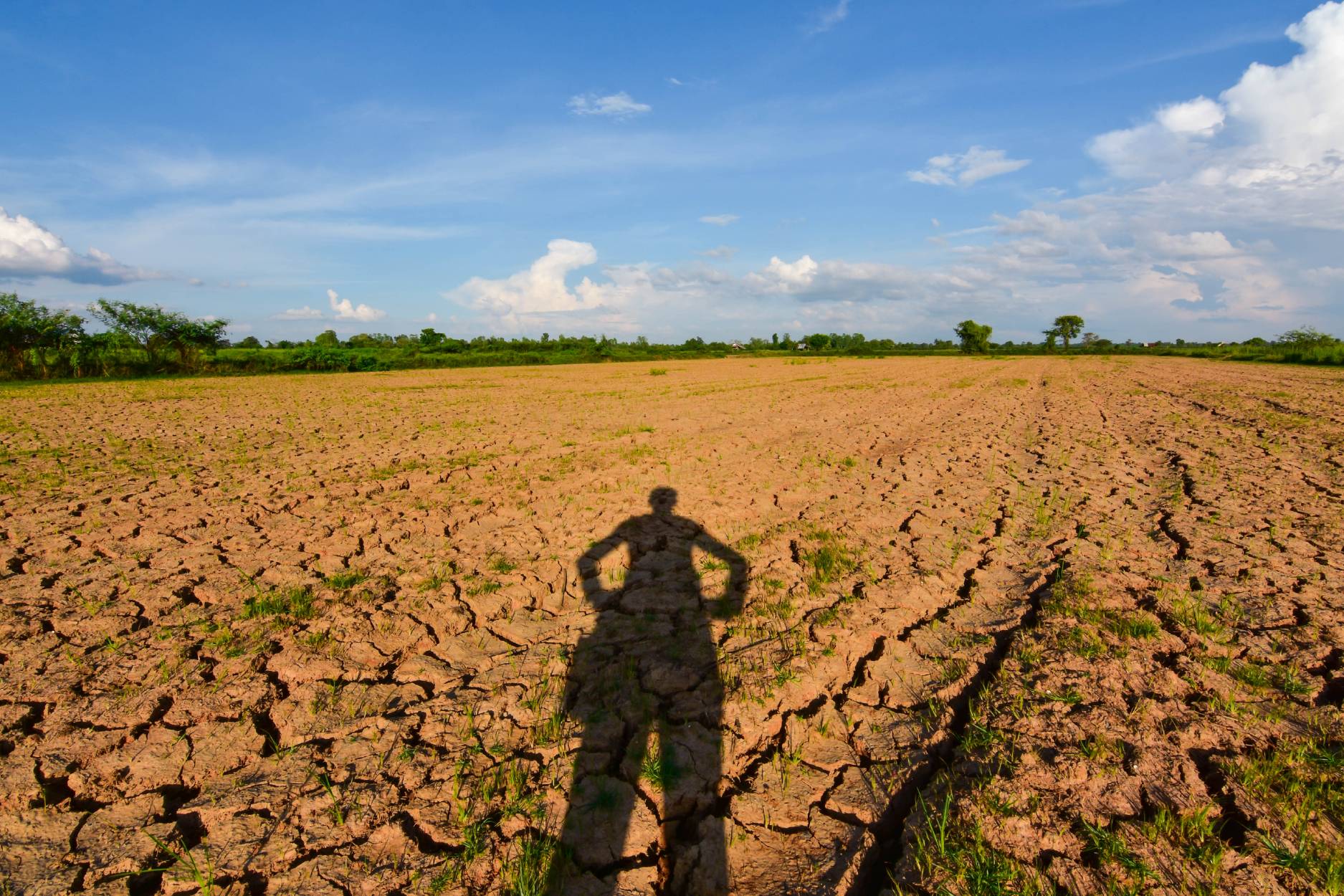 A photo showing a cracked, dry, sunbaked field under a hazy sky.
