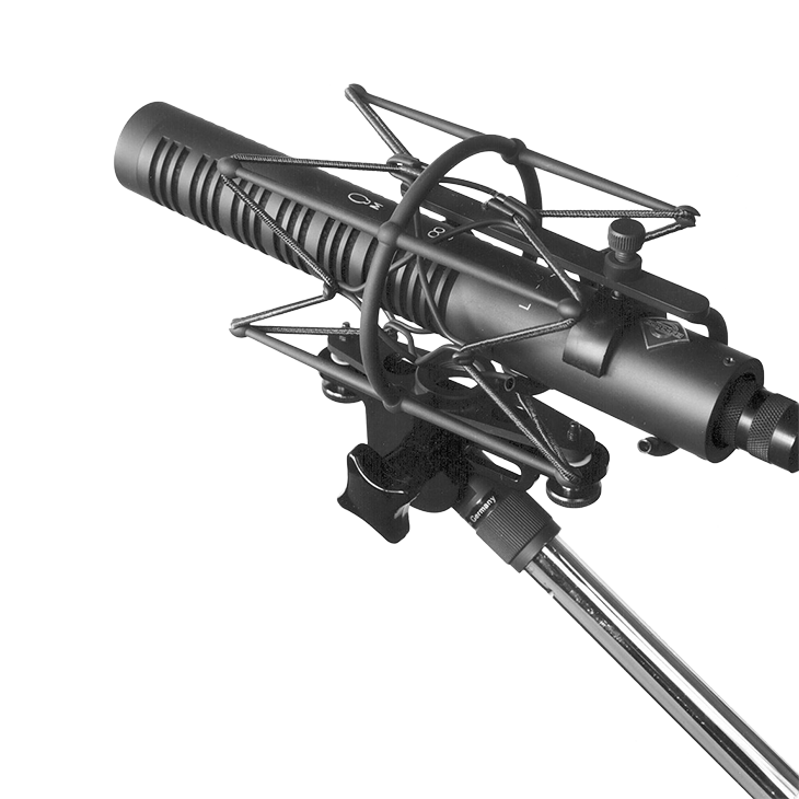 RSM-190-i_Neumann-Stereo-Shotgun-Microphone_H