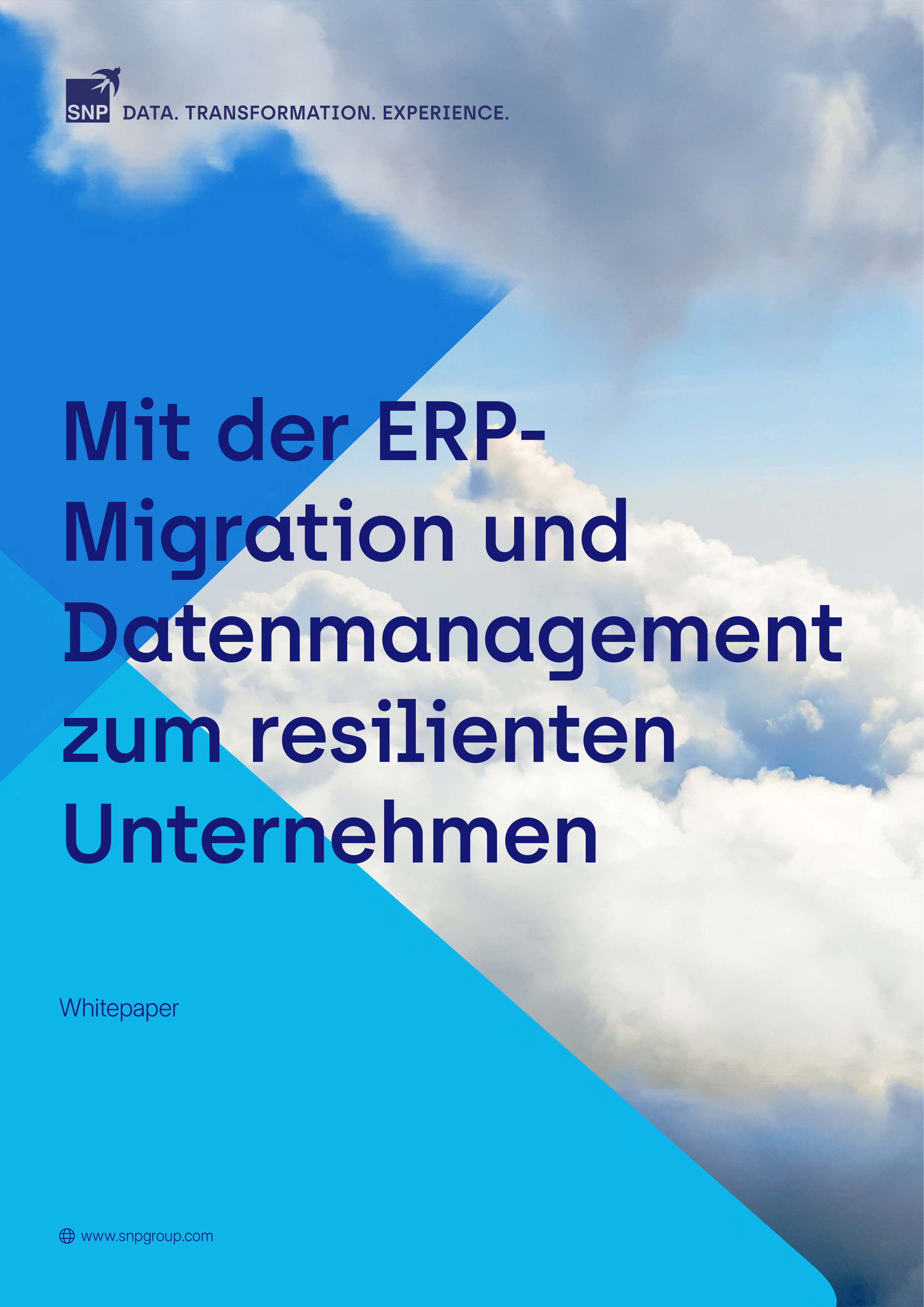 Rapid ERP migration white paper DE.png