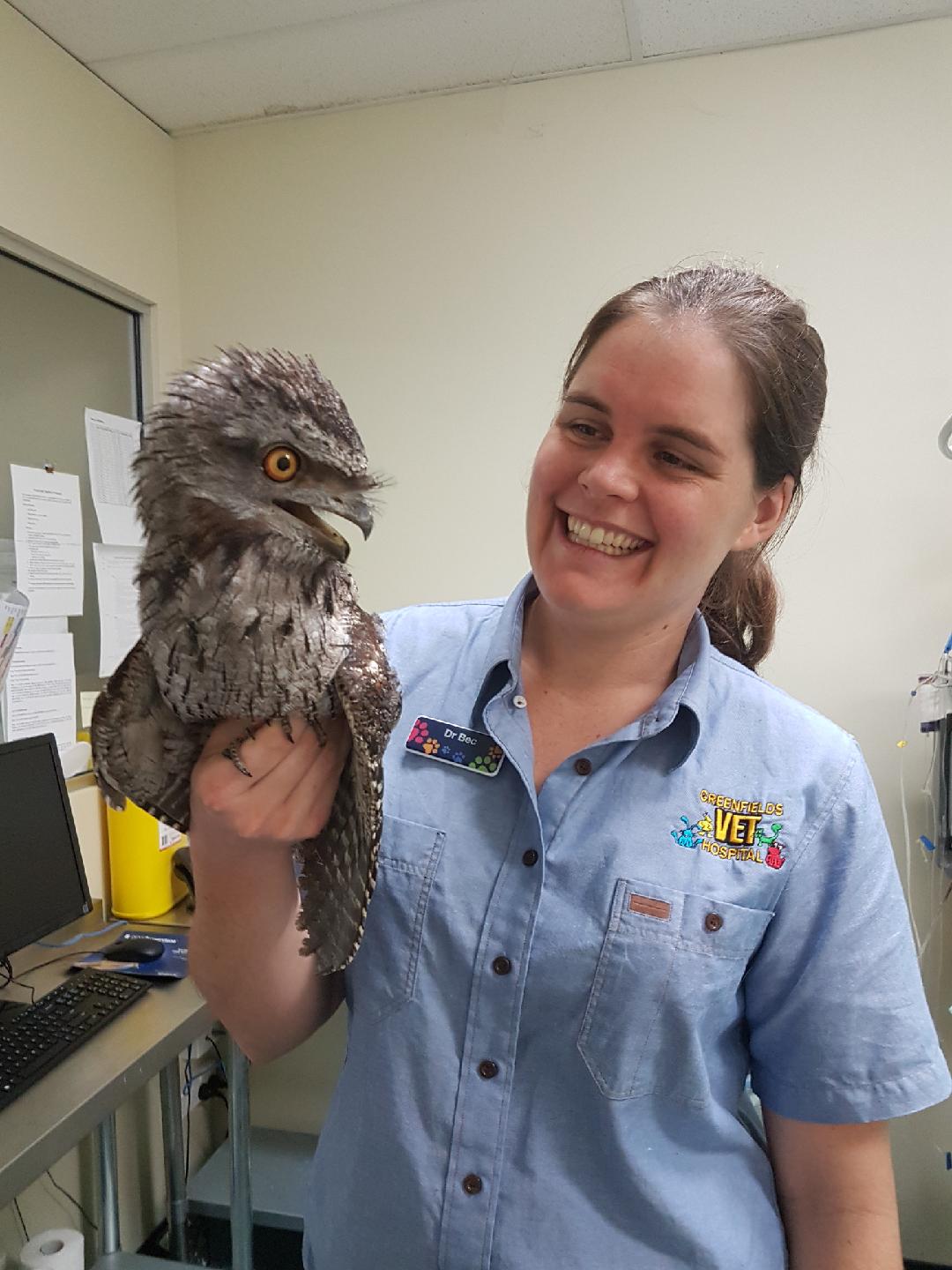 Rebecca Bec Flegg 1 owl CVP.jpeg