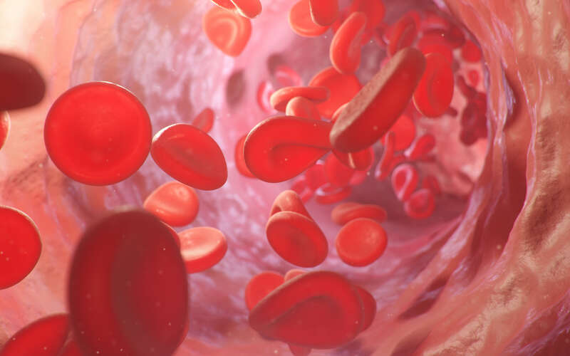 graphic of red blood cells flowing in an artery