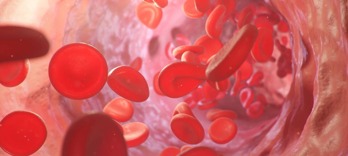 graphic of red blood cells flowing in an artery