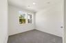 carpet throughout with single window and closet