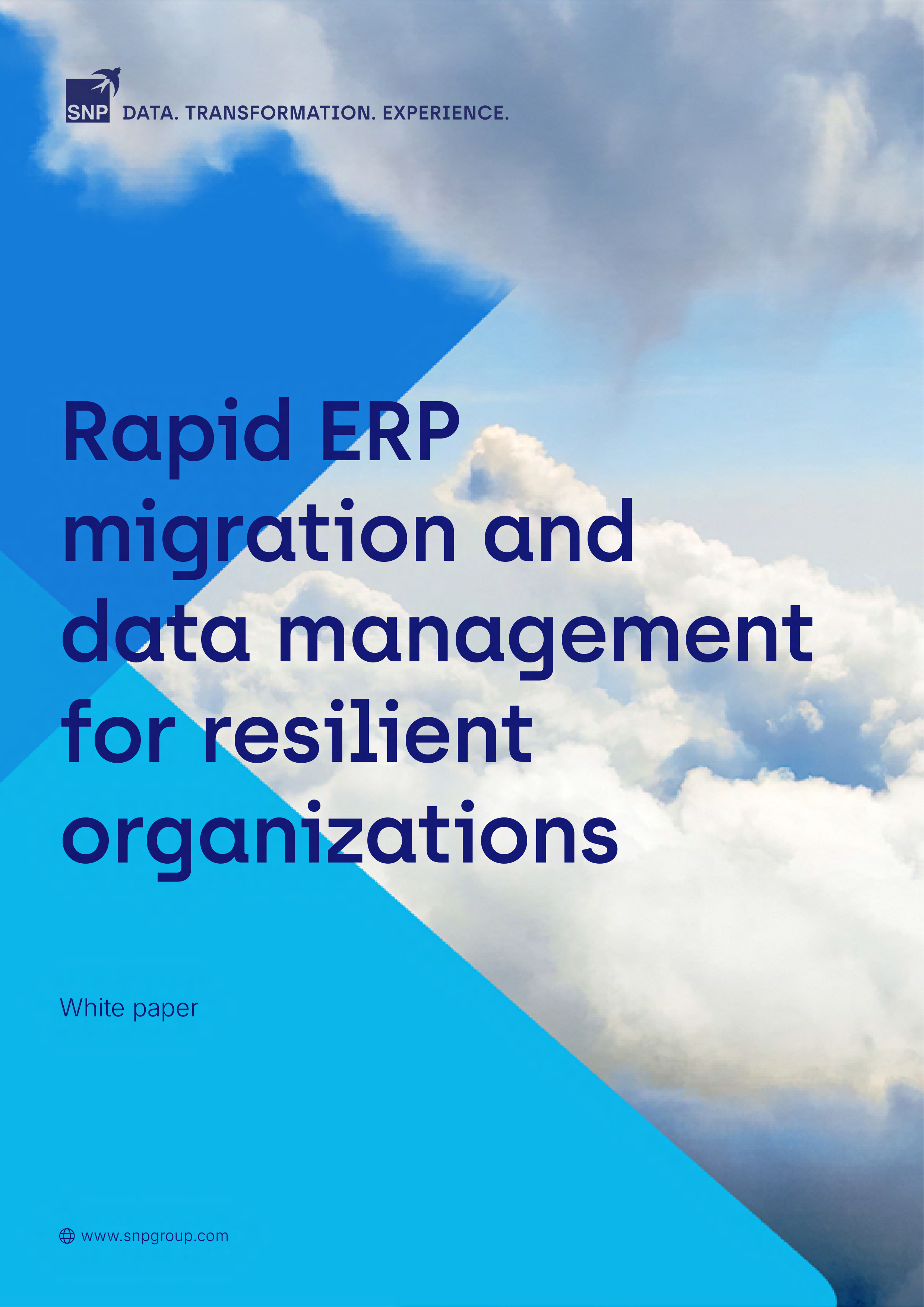 SNP White Paper - Rapid ERP migration and data management for resilient organizations - EN.png