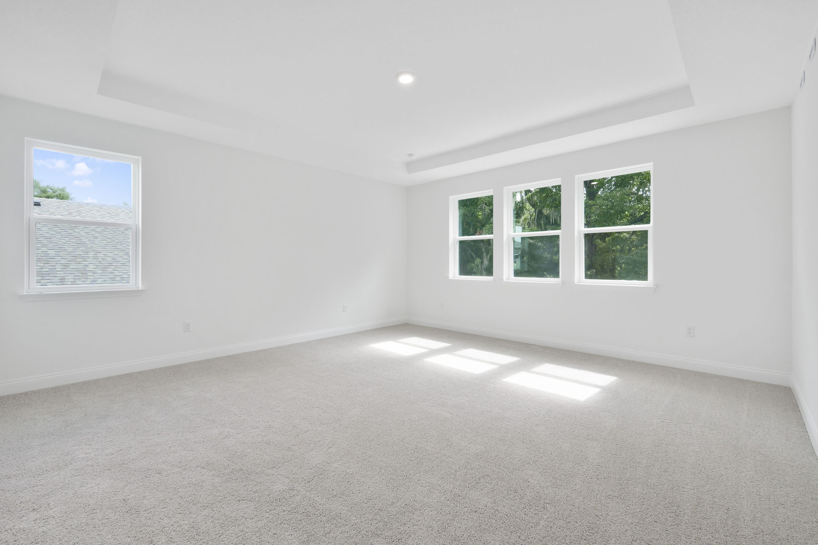 room with carpet throughout and tray ceilings 